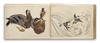 (JAPAN--NATURAL HISTORY.) Two albums containing a large number of pen-and-ink with watercolor studies. Japan, early 20th century